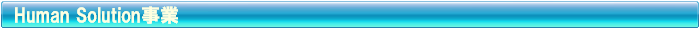 ヒューマン ソリューション 事業